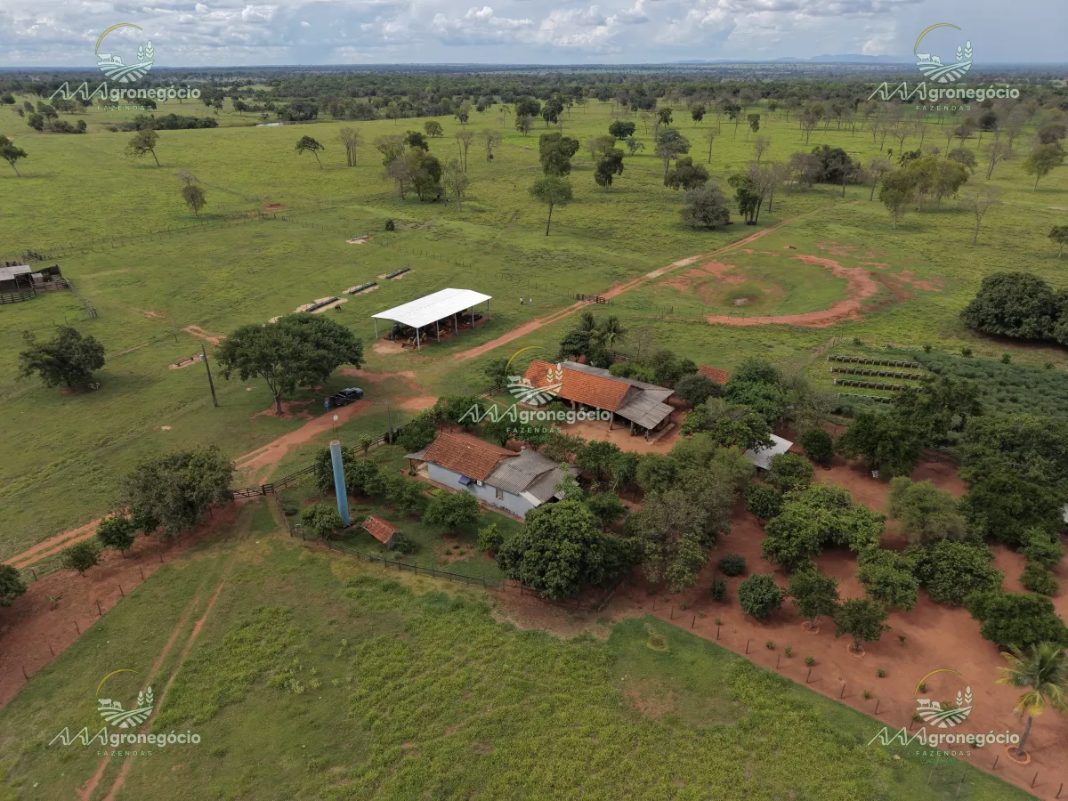 Fazenda Investimento Pecuária-Mogno