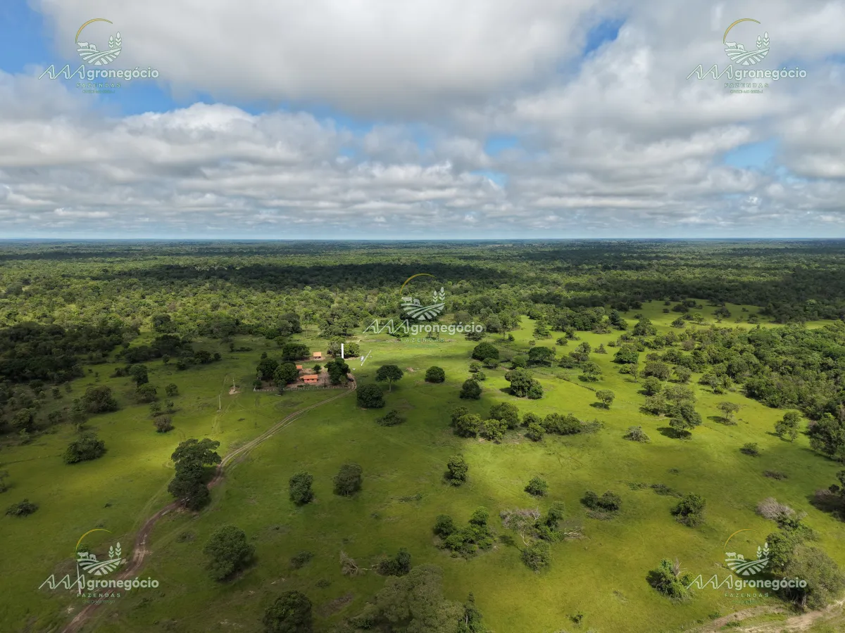 Fazenda no Pantanal Alto de Aquidauana