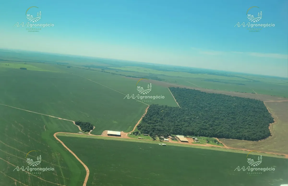Fazenda de Lavoura | Paranhos - MS