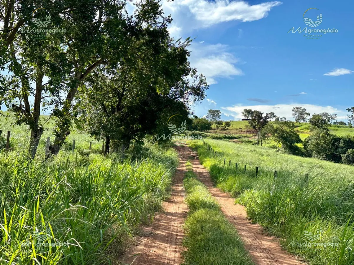 Fazenda Camapuã