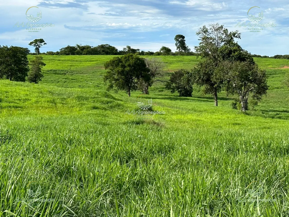 Imagem da propriedade