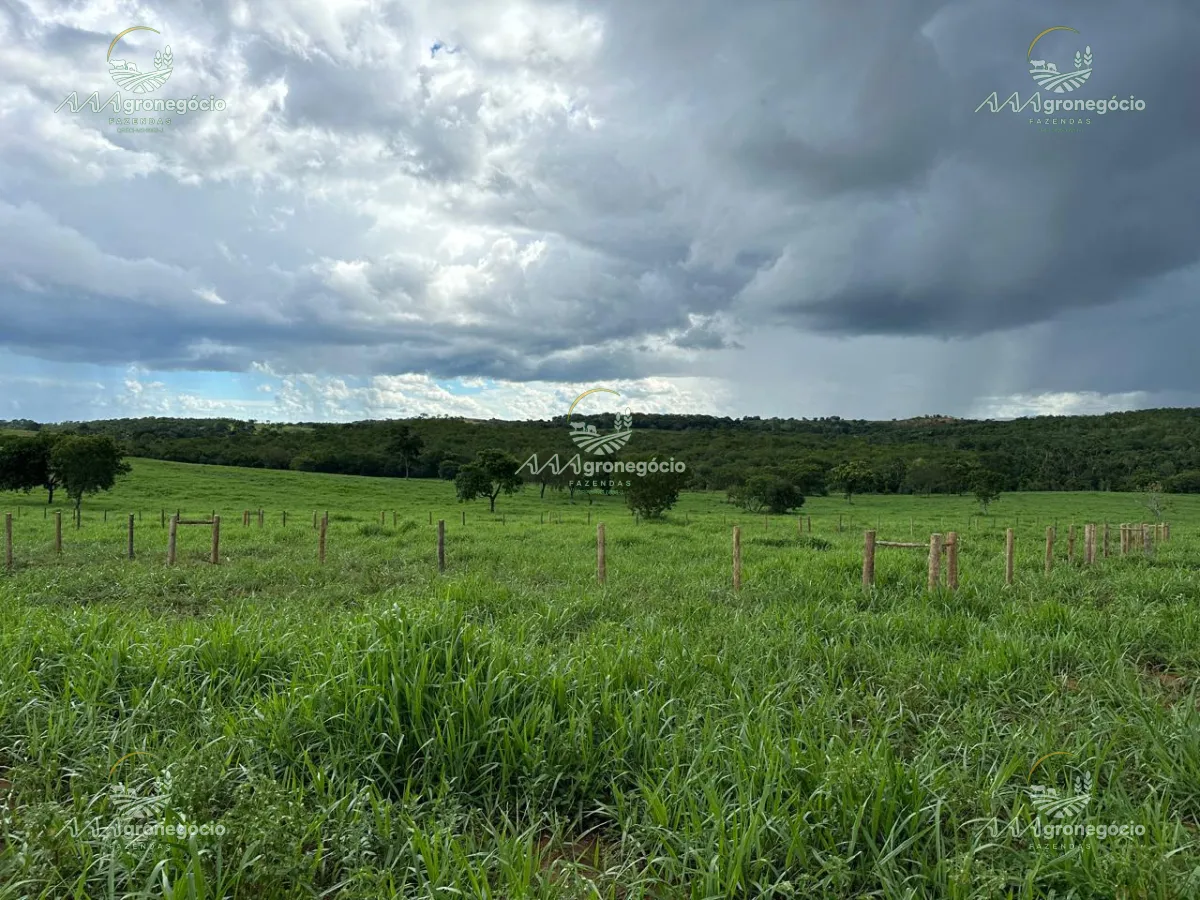 Imagem da propriedade