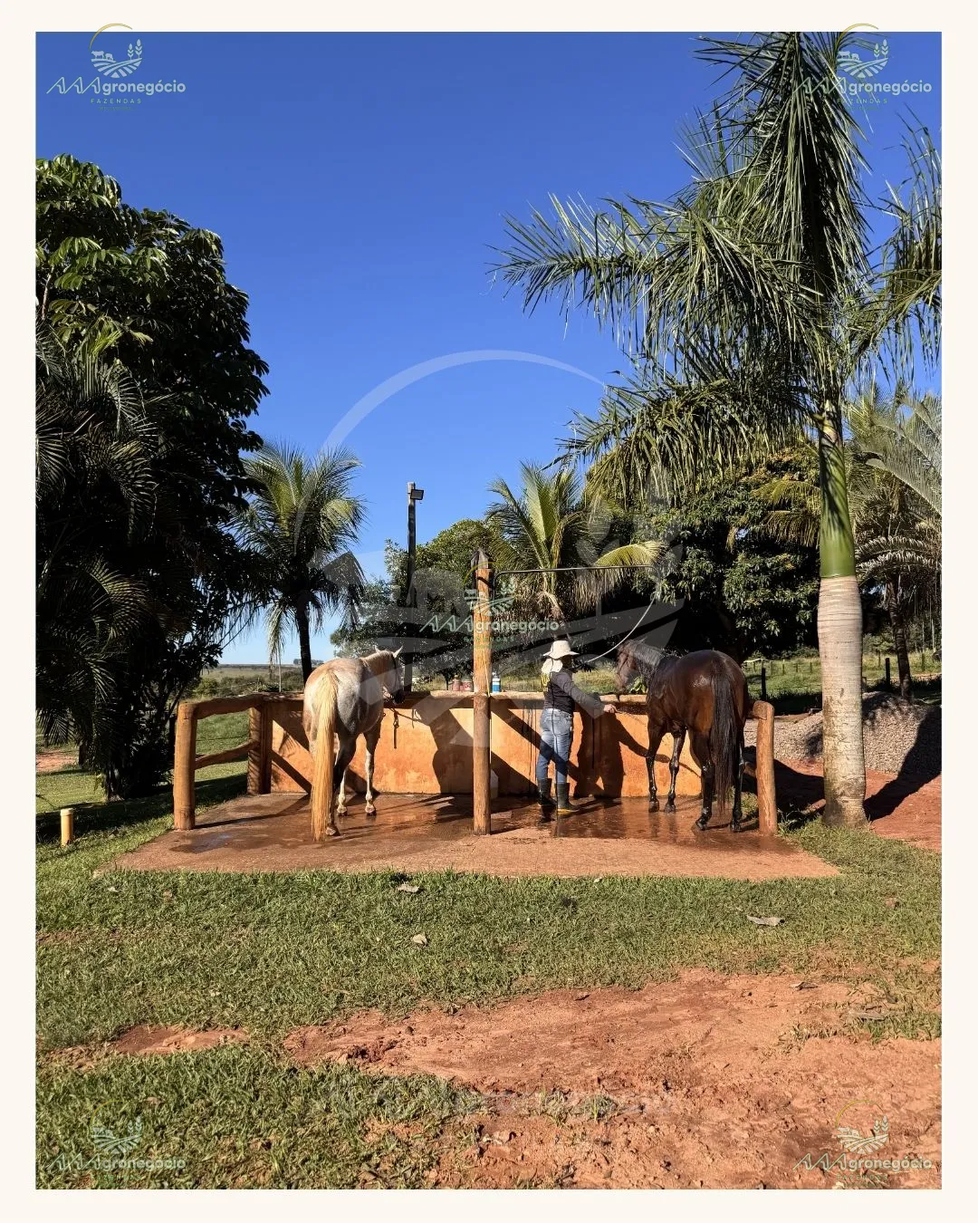 Imagem da propriedade