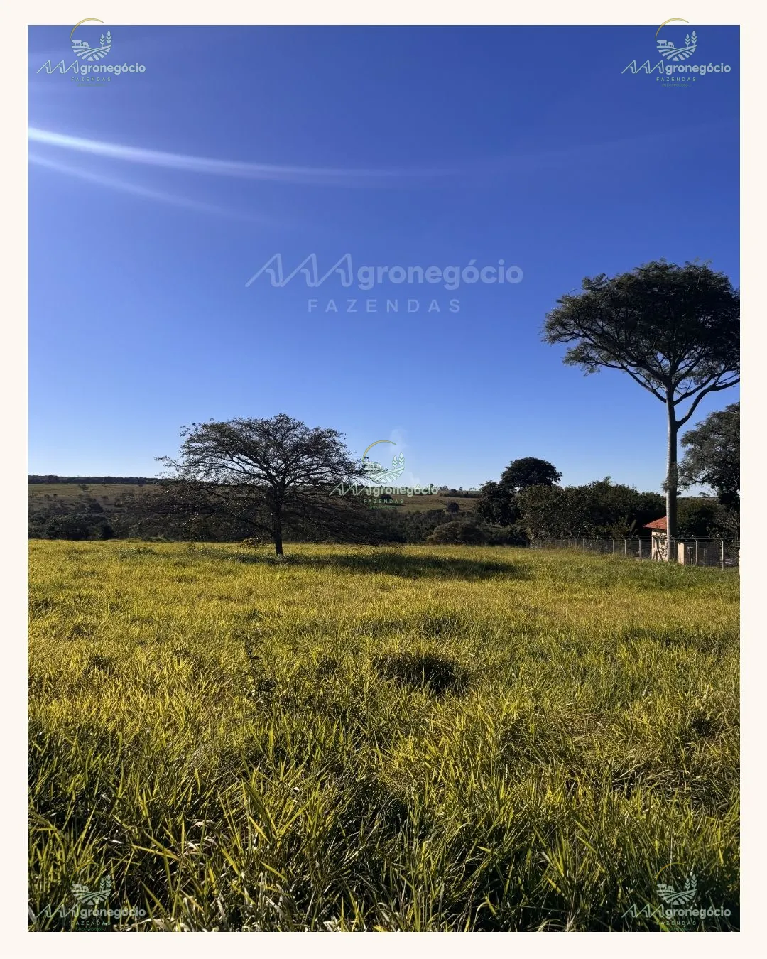 Imagem da propriedade