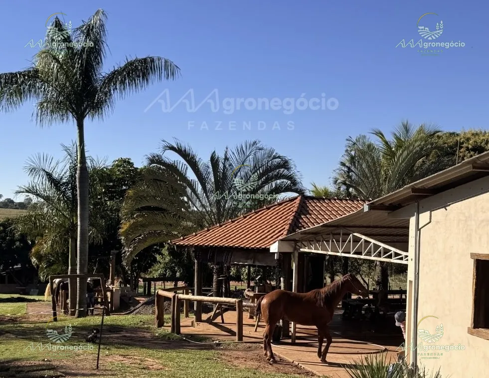 Haras Campo Grande